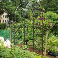 Diamond Lattice Garden Arbor