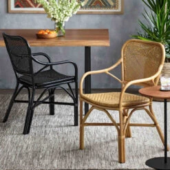 Lanai Dining Chairs