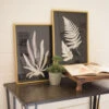 Framed Fern Prints