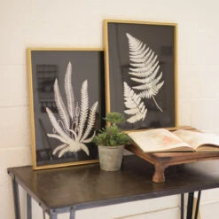 Framed Fern Prints
