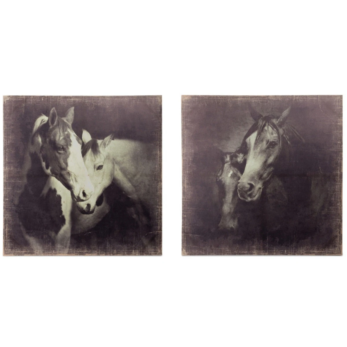 Unbridled Canvas Prints 2 Unbridled Canvas Prints - Image 2