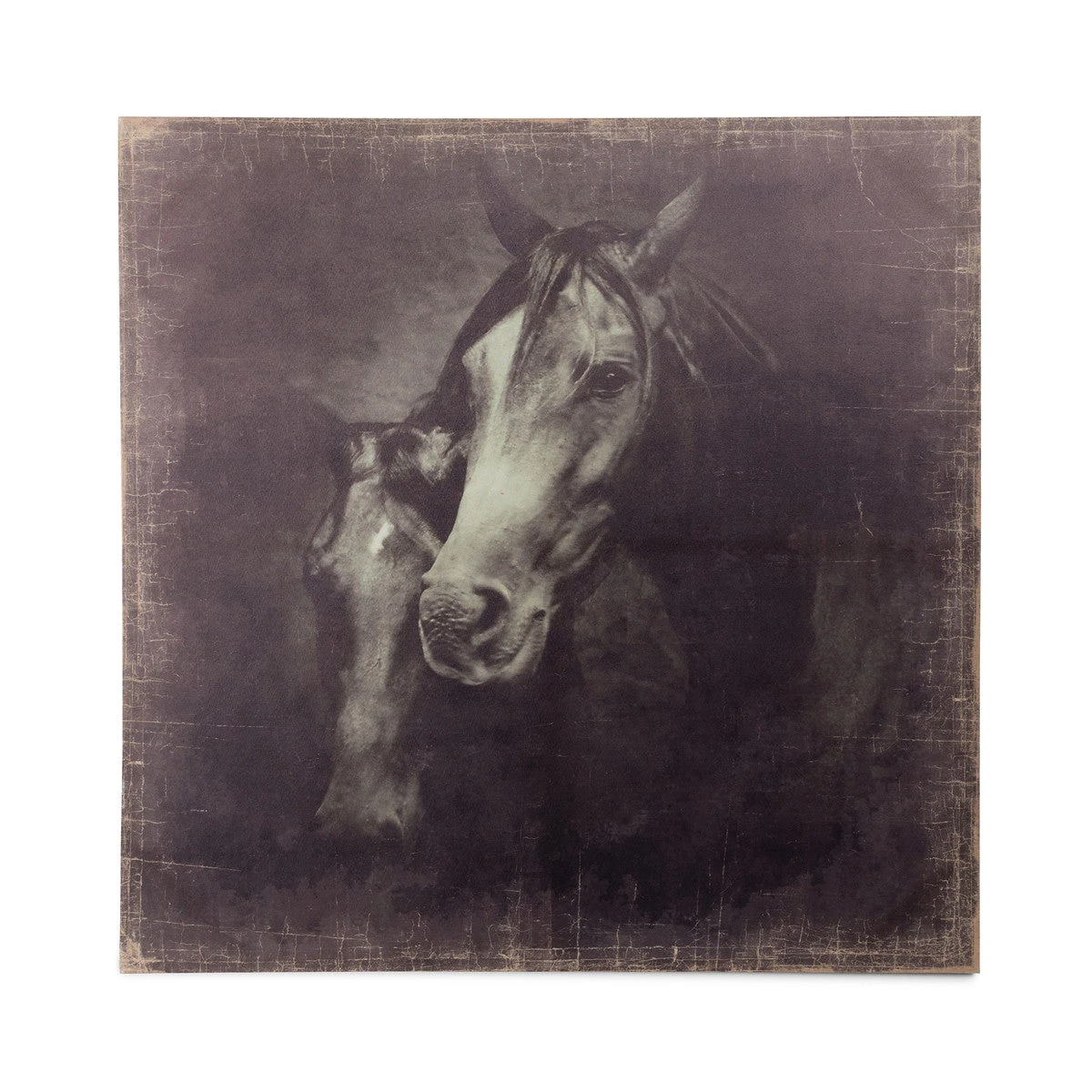 Unbridled Canvas Prints 3 Unbridled Canvas Prints - Image 3