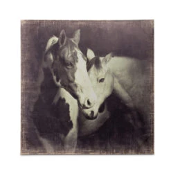 Unbridled Canvas Prints 7 Unbridled Canvas Prints -Iron Accents Shop EWA20248 main 04