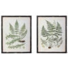 Framed Botanical Prints