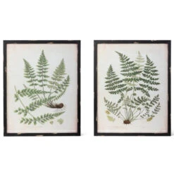 Framed Botanical Prints