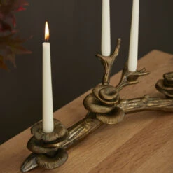 Oyster Mushroom Candle Holder