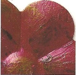 Iron Accents Shop -Iron Accents Shop scroll 50 wall grill faux red 3